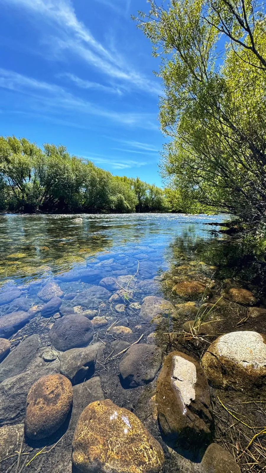 Loteo exclusivo de San Martín de los Andes – Naturaleza y tranquilidad - 2