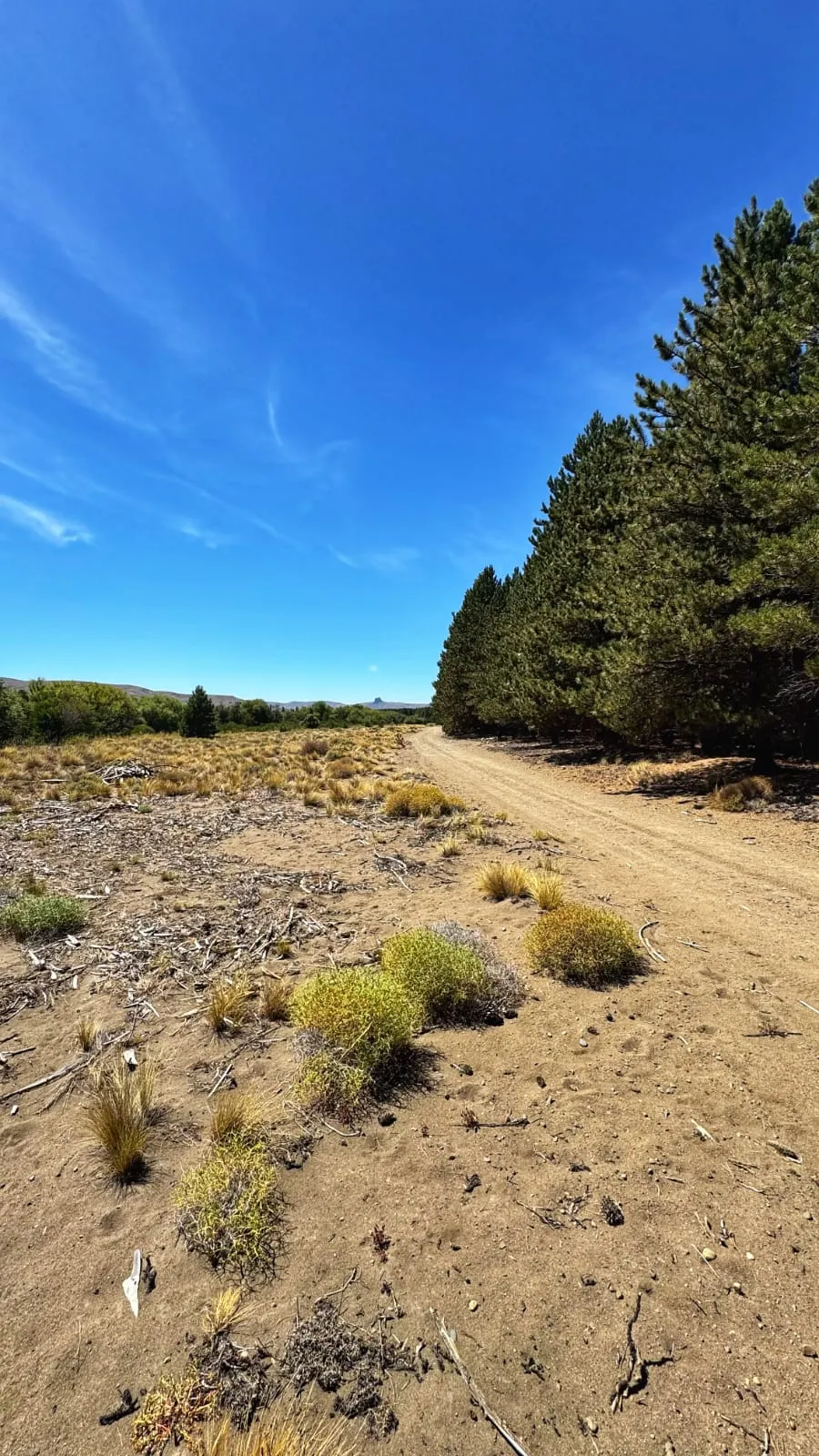 Loteo exclusivo de San Martín de los Andes – Naturaleza y tranquilidad - 4